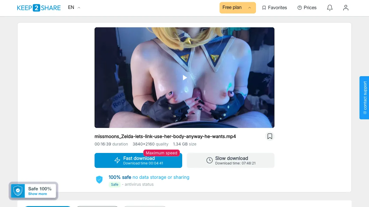 missmoons Zelda lets link use her body anyway he wants
