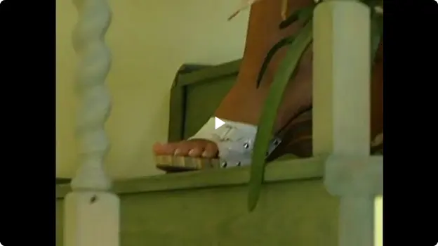 Der Lockvogel