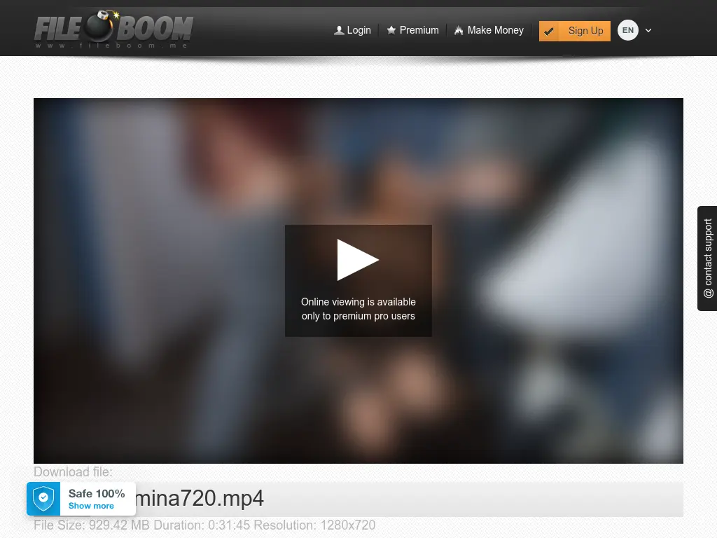 Preview of 477f58969825b