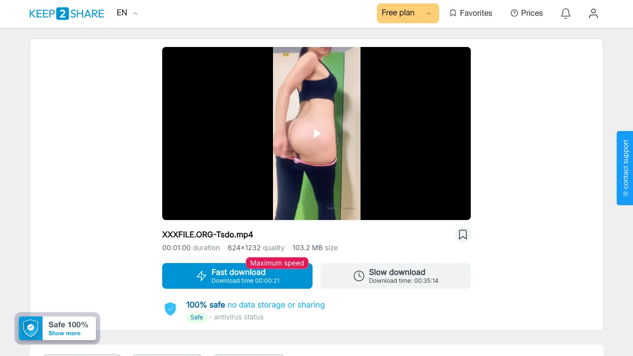 Preview of XXXFILE.ORG Tsdo