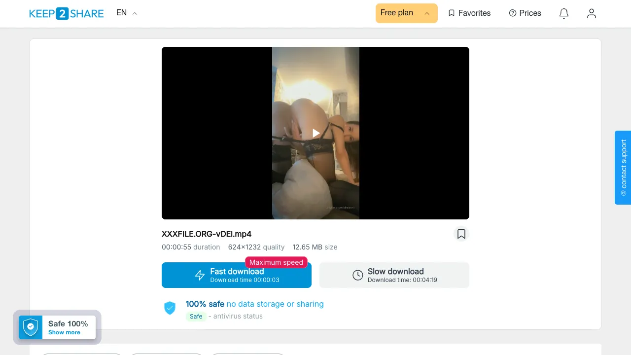 Preview of XXXFILE.ORG vDEl