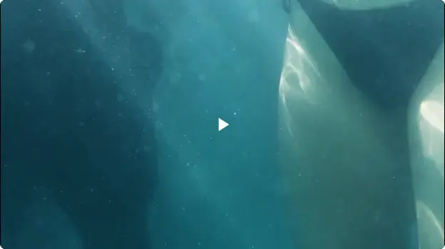 Preview of 0009 grope candid real underwater voyeur bikini grab ass dic