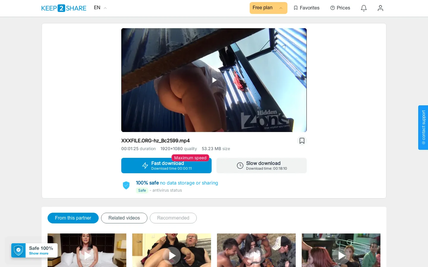 Preview of xxxfile.org hz bc2599