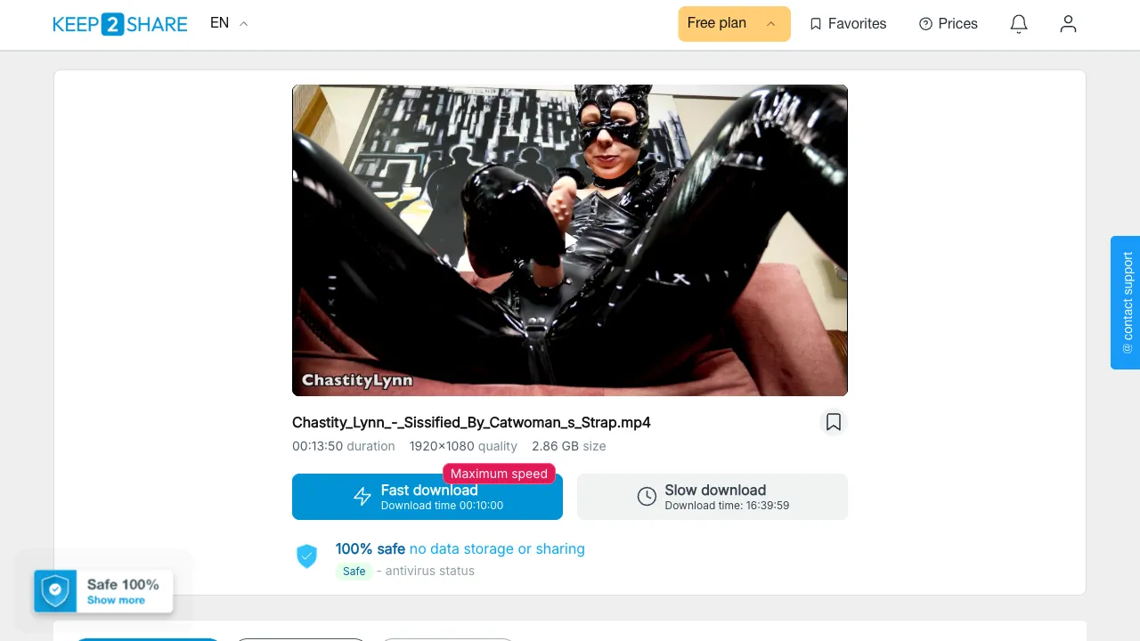 Chastity Lynn Sissified By Catwoman s Strap