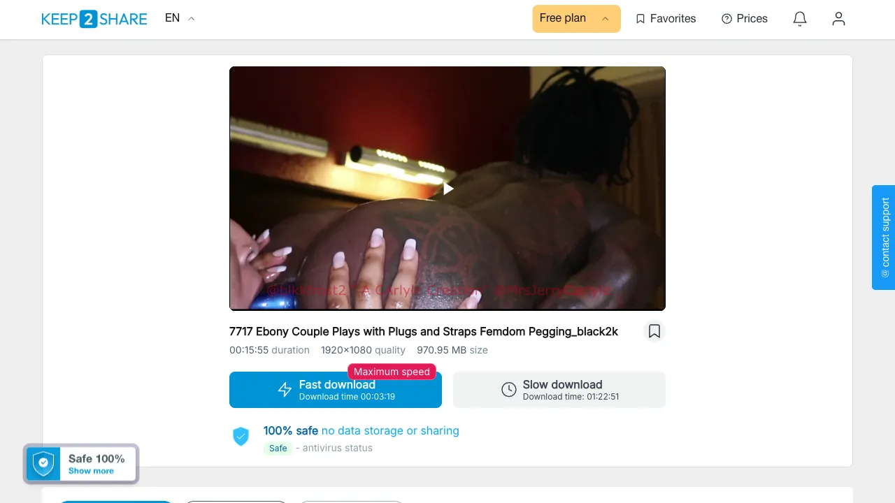 Preview of 0cc24c6d3825a