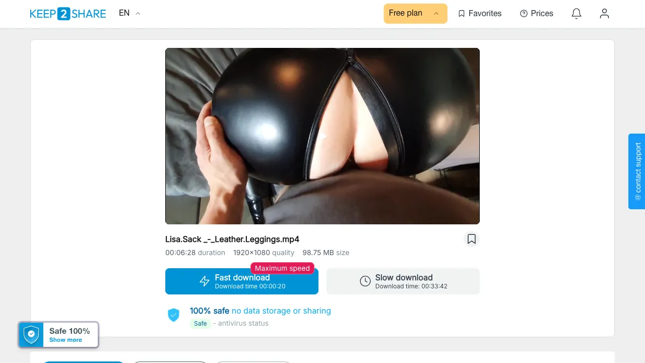 Preview of Lisa.Sack Leather.Leggings