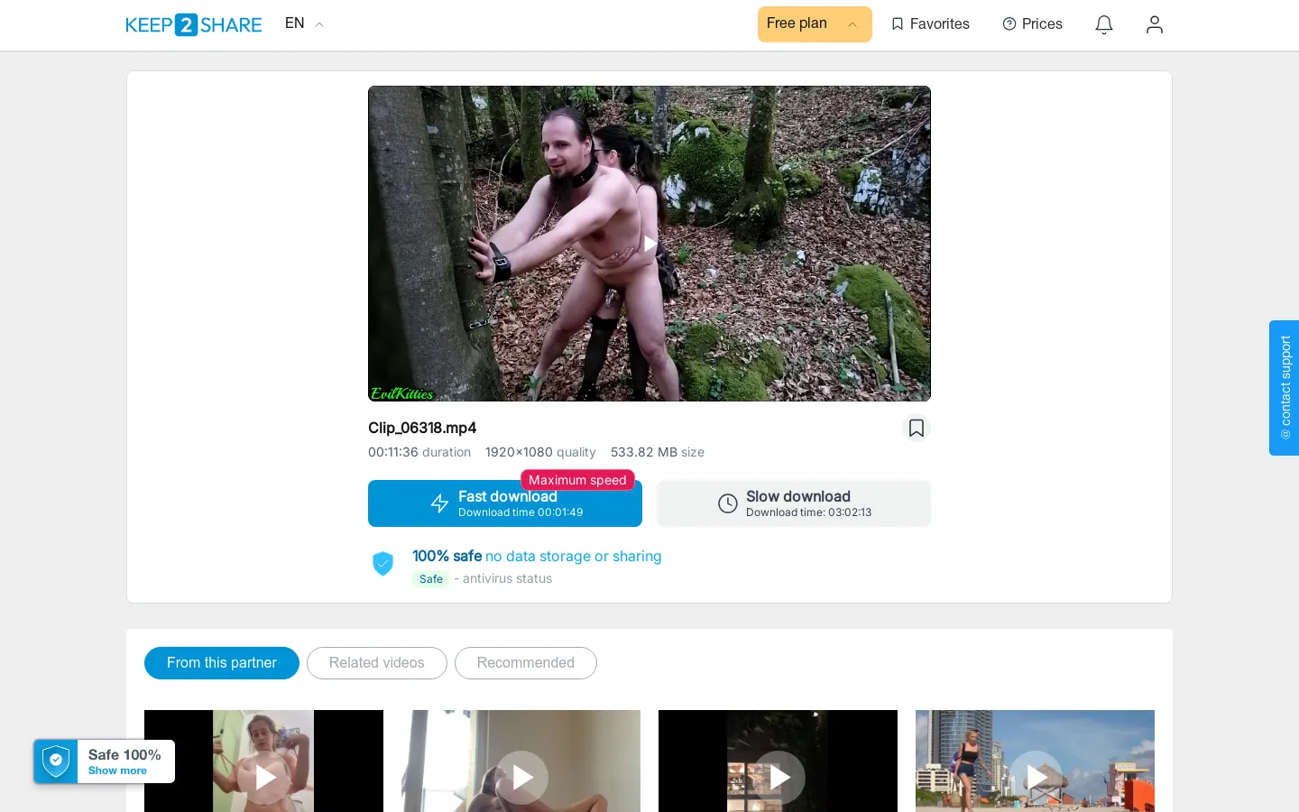 Preview of Clip 06318